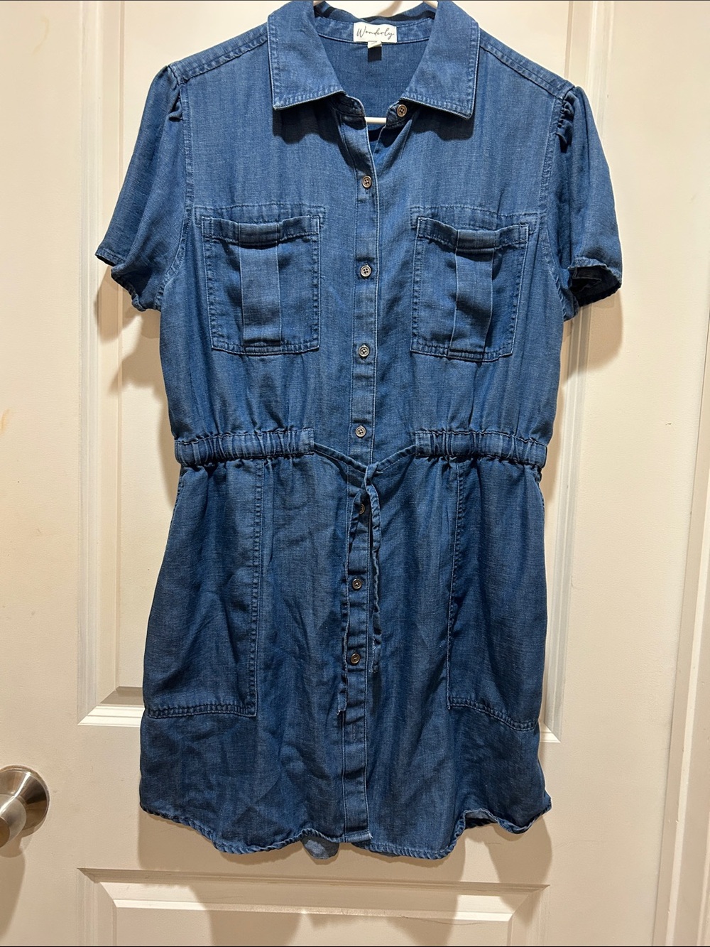 Wonderly Blue Button-Front Denim Mini Dress